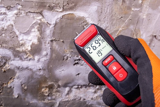 Best Commercial Mold Remediation in La Mesilla, NM